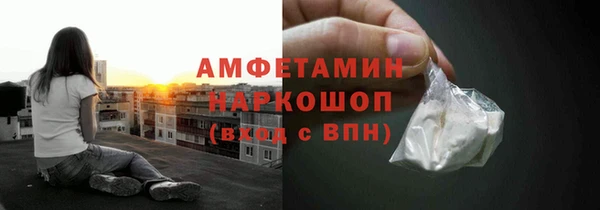 spice Богородск