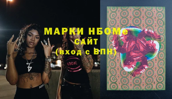spice Богородск