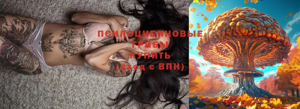 spice Богородск