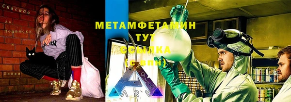 гидра Бородино