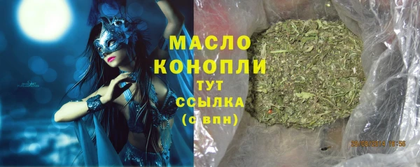spice Богородск