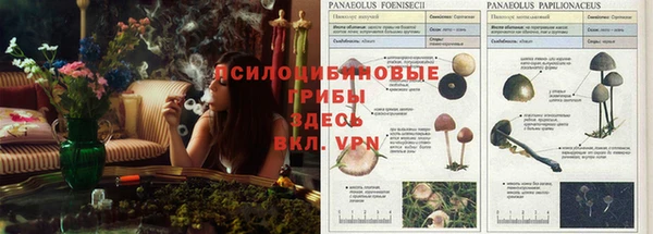 мяу мяу кристалл Верхнеуральск
